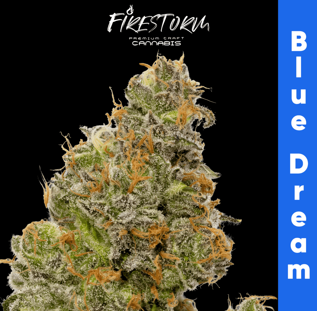 Cultivation at Firestorm